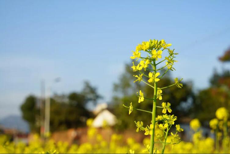 春季該如何預(yù)防控制高血壓？
