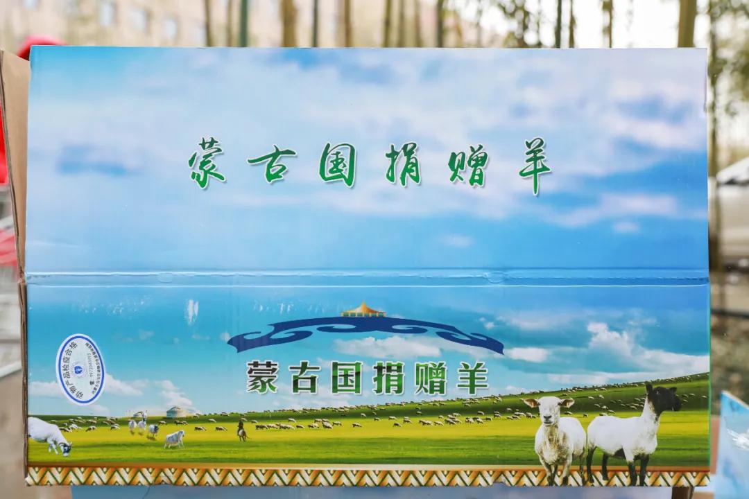 援鄂醫(yī)療隊：“暖羊羊”來啦！