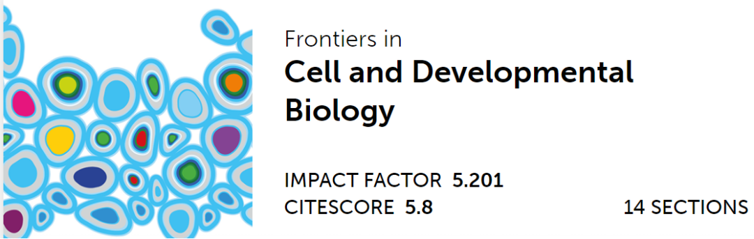 心臟病醫(yī)院王海昌院長科研團隊在心肌病研究領(lǐng)域有新突破！