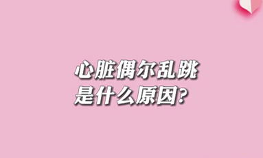 【名醫(yī)面對面之心臟100問】心臟偶爾亂跳是什么原因？