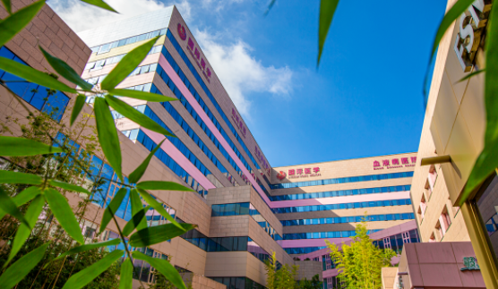 國醫(yī)四味：竹林、紫杉、桂花、銀杏，還有那……