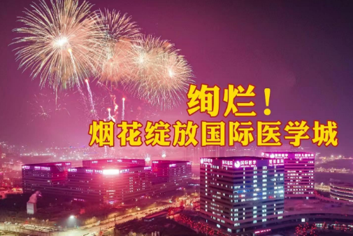 絢爛！煙花綻放國際醫(yī)學城